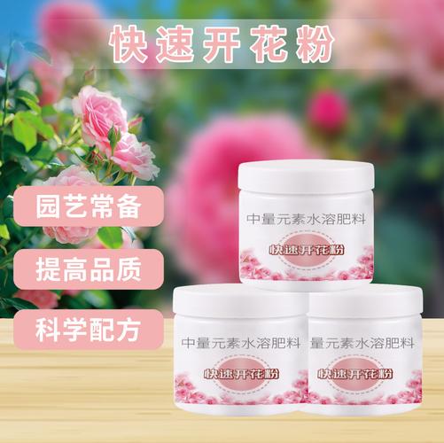 花肥多肉厂家,品牌,图片,热帖